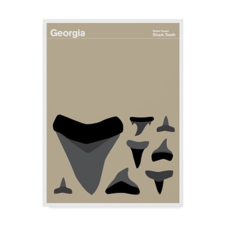 Print Collection - Artist 'Georgia Shark Teeth' Canvas Art,24x32